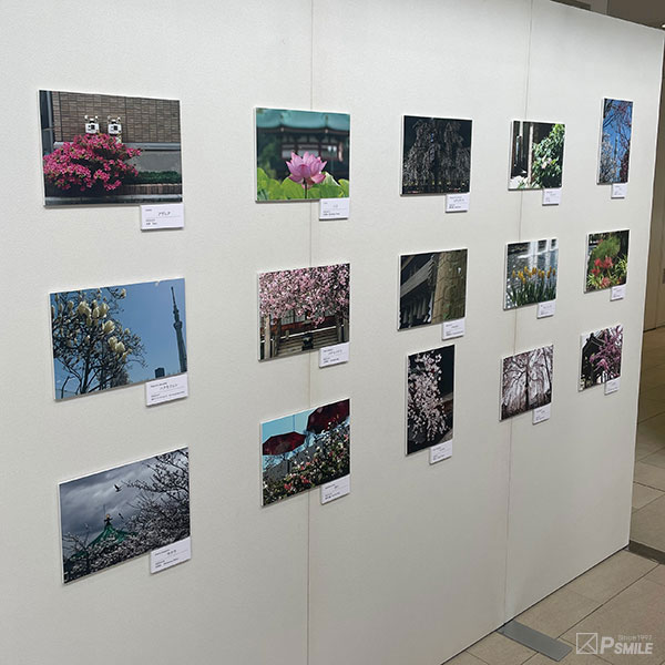 花の心写真展
