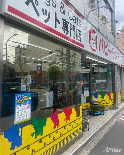 こいのぼり