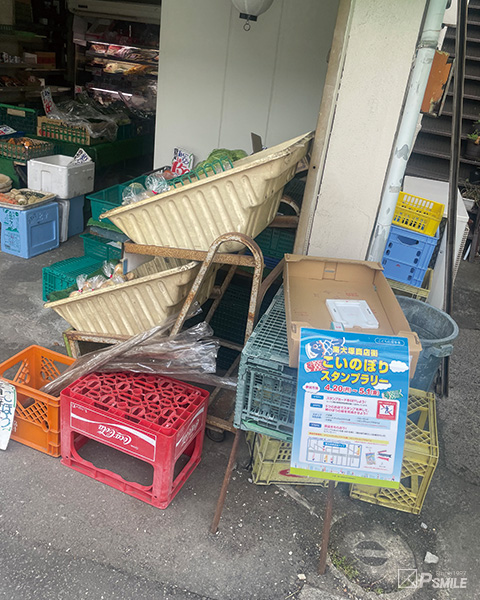 こいのぼり