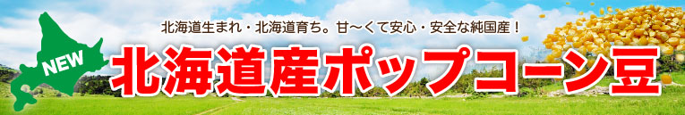 北海道産ポップコーン豆