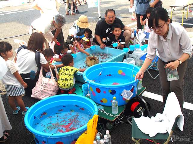 金魚すくい